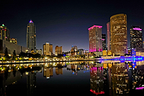 Night City View